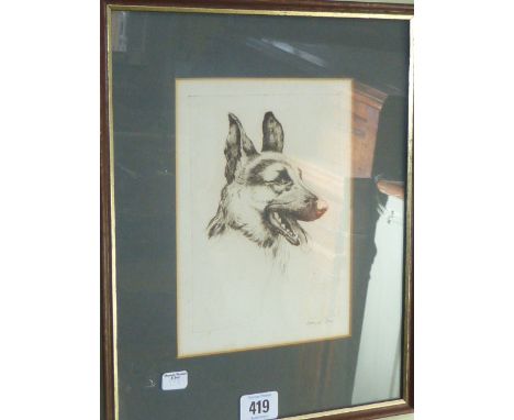 David Iss, etching of an Alsatian, framed