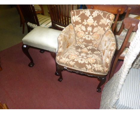 Chippendale style occasional tub chair and similar ball and claw leg stool (2)
