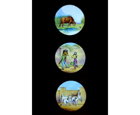 Carpenter & Westley wood-mounted hand-painted Aesop’s Fables Magic Lantern Slides, each with contemporary ink titles, G (17)