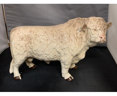 A LARGE CERAMIC CHAROLAIS BUTCHERS ADVERTISING BULL 