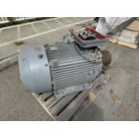 Motor