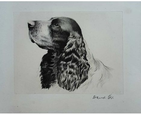 DAVID GEE, FAITHFUL FRIEND, COCKER SPANIEL etching, signed in pencilmounted, framed and under glassoverall 39cm x 28.5cm 