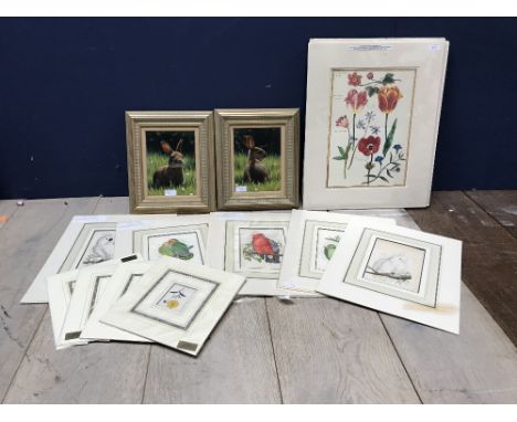 Qty of decorative prints, incl "Tulips by Nicholas Robert, Paris, Repro 1650s flower 'Guirlad de Julie' Manuscript of flower 