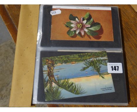     A Collection Of Vintage Bermuda Related Postcards                               