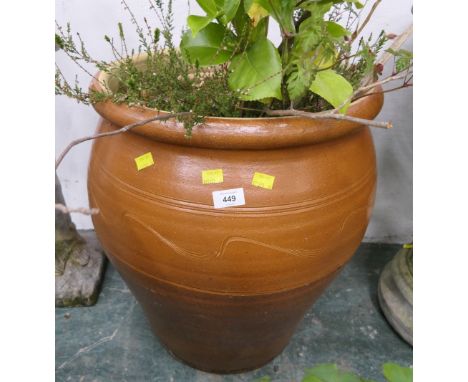 Large glazed garden urn with plants