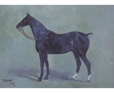 Major General G.H.A. White, oil on board, Portrait of a cob, initialled and dated 1931, label verso, 34 x 46cm