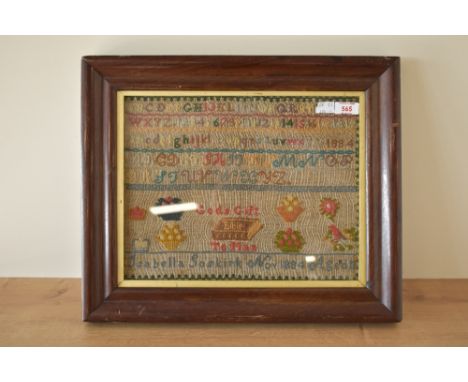 A framed cross stitch sampler, by Isabella Soskirk aged 11, dated 1884, worked mostly in red and blue, with alphabet letters 