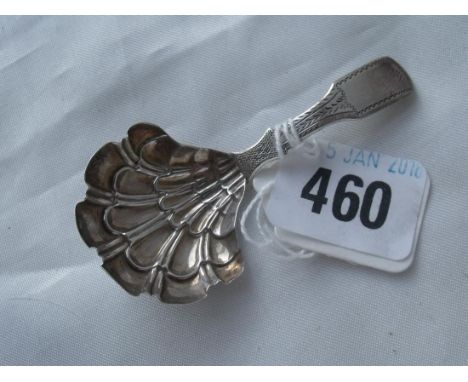 Georgian fiddle pattern caddy spoon  with shell bowl  1831 by JL       