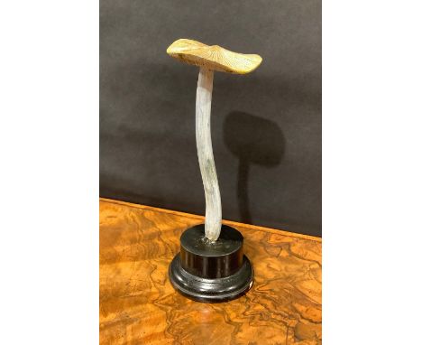 Natural History - Mycology - a painted model of fungus specimen, mounted for display, 23cm high 