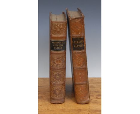 Natural History – Goldsmith (Oliver) A History of the Earth and Animated Nature, one of many later editions, 2 vols., Glasgow