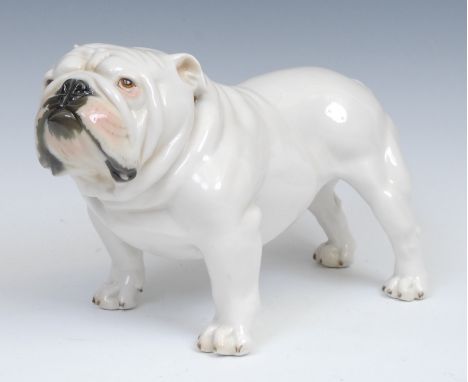 A Nymphenburg porcelain model, of a male bull dog, standing with studded collar, highlighted in pink and black, printed and i