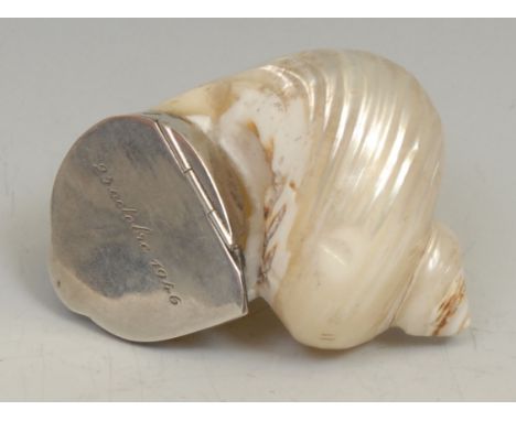 Conchology - a silver mounted novelty snuff box, formed from a pearl nautilus shell, hinged cover, 6.5cm wide 