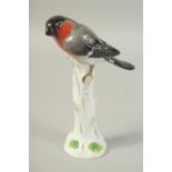 A MEISSEN BULLFINCH PERCHED ON A TREE STUMP first modelled by Joachim Kaendler Circa. 1880. 20.3cm