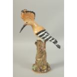 A MEISSEN HOOPOE, first modelled by Joachim Kaendler. Circa. 1840. 31.2cm high. Cross sword mark