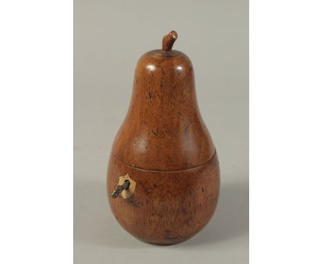 A GOOD PAINTED PEAR TEA CADDY. 7.5ins.