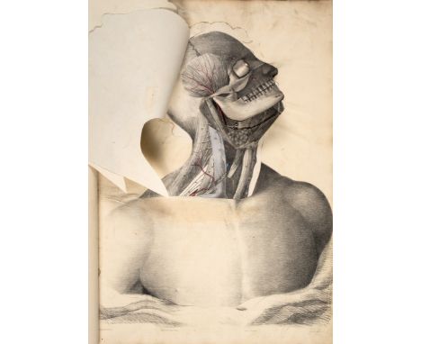 Medicine.- Tuson (Edward William) A Supplement to Myology; containing the Arteries, Veins, Nerves, and Lymphatics of the Huma