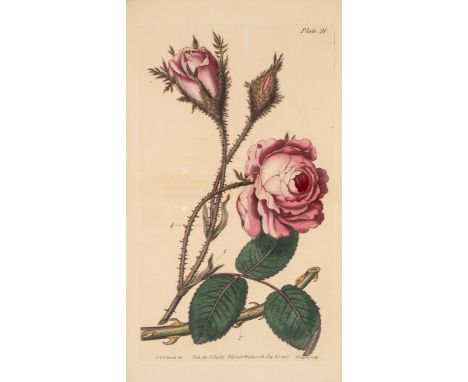 Curtis (William) Lectures on Botany, vol. 1 &amp; 2 only (of 3), first edition, engraved portrait, 95 hand-coloured engraved 