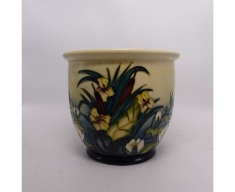 Moorcroft planter in the Bullrush pattern, height 16.5cm (2nd).