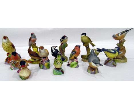Various Royal Worcester model birds to include 'Nuthatch', 'Bullfinch', 'Goldfinch' and others (12) 