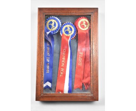 A Wall Hanging Mahogany Framed Collection of National Light Horse Breeding Society Rosettes, First, Champion Foal and Summer 