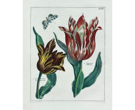 NEDERLANDSCH BLOEMWERK. Door een gezelschap geleerden. Amst., J.B. Elwe, 1794. ii, (2), 128, (3) pp. W. cont. handcold. engr.