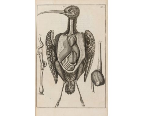 Anatomy.- Collins (Samuel) A Systeme of Anatomy, treating of the Body of Man, Beasts, Birds, Fish, Insects, and Plants, 2 vol