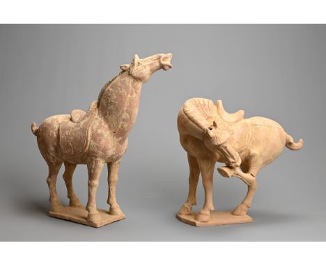 TWO CHINESE TANG-STYLE POTTERY MODELS OF HORSES. One modelled standing foursquare with its head raised up, the other with its