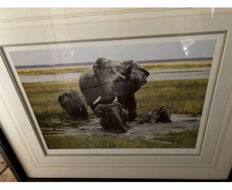 Spencer Hodge, Guardian of the Plain Limited Edition Print&nbsp; (30elephants)