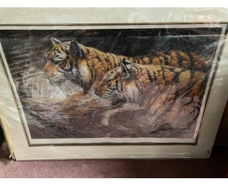 Stunning print of two Tigers, Grace and Danger, Limited Edition 214/250