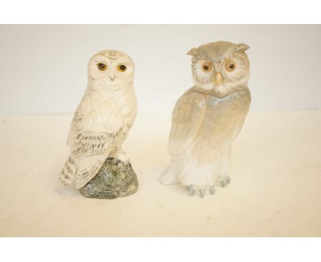 White &amp; Makay snowy owl together with a Nao owl