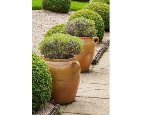A brown glazed 60 litre ovoid planter planted with lavender, two handles a/f, 21in. (53cm.) high; together with three 40 litr
