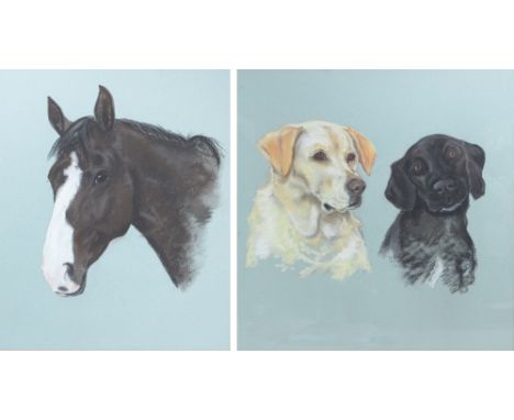 JOY CLAXTON; pastel study, portrait of two labradors, signed and dated 1984, 51 x 50cm, framed and glazed, and a further port