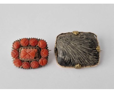 Two gold mounted Victorian brooches one coral cluster with slight chip the other fossil with slight chip