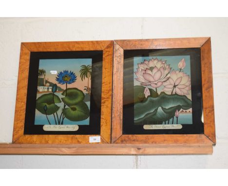 Two reproduction prints of Egyptian water lillies