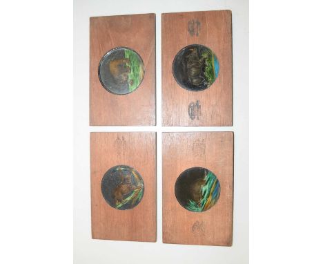 Box of Magic Lantern slides