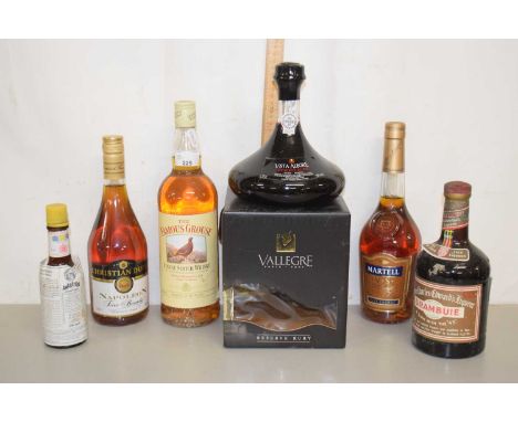 Mixed lot - Famous Grouse Scotch whisky, together with Martell Cognac, Napoleon Brandy and others (6)