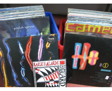 Over Seventy LP's, mostly 1980/90's to include Prefab Sprout, Crowded House, Level 42, Lush, Perri, Nu Shooz, Simply Red, Llo