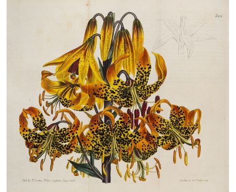 Botany.- Curtis (William) The Botanical Magazine, or, Flower-Garden Displayed, vol.1-30 in 15, engraved portrait (foxed) and 