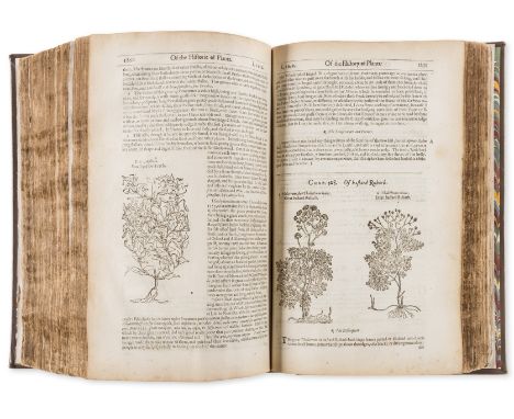 Herbal.- Gerard (John) The Herball or Generall Historie of Plantes, second edition, engraved title by John Payne, numerous wo