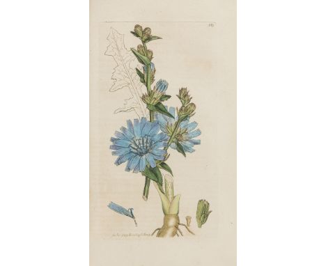 Botany.- Sowerby (James) [&amp; James Edward Smith.] English Botany: or, Coloured Figures of British Plants, vol.1-14 only (o