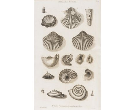 Pulteney (William) Catalogues of the Birds, Shells, and some of the more Rare Plants of Dorsetshire ... with Additions, engra