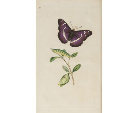 Insects.- Donovan (Edward) The Natural History of British Insects, vol.1-10 (of 16), vol.1 second issue, the rest first editi