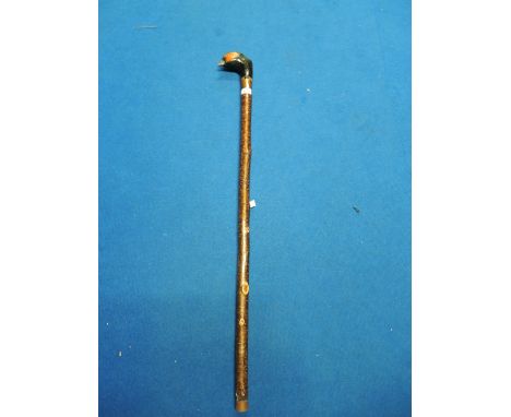 A pheasant head handled walking stick