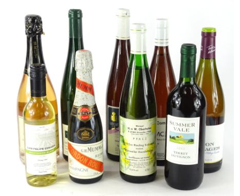 Various alcohol, Somerville 2002 Terret Sauvignon 75cl, Vintage 2013 Felipe Edwards, Glyndwr, Pfalz, Pfalz Koch, Weingut Jung