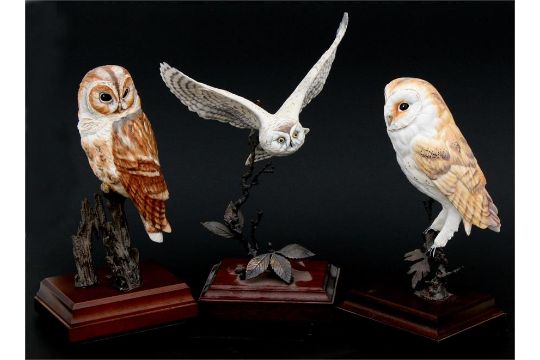 A Group Of David Fryer Design Royal Worcester Birds To Include