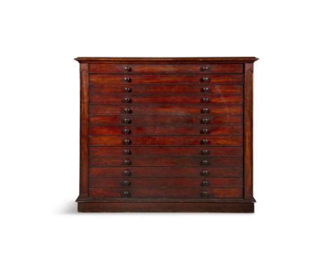 AN IRISH MAHOGANY MAP OR PRINT CHEST, the rectangular top with moulded rim, above an arrangement of thirteen slender drawers 