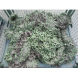 Stillage of Original Camouflaged Woodland Netting 9m x 9m