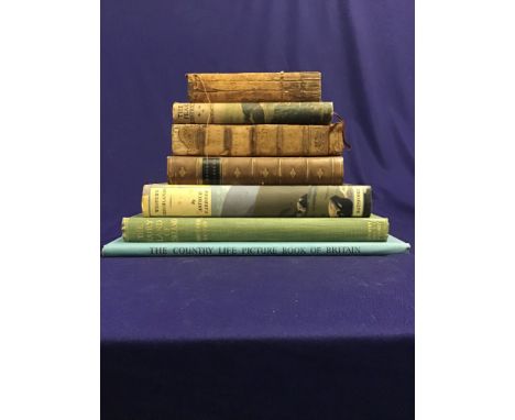 Collection of topographical books for various including 'Pictures of London' 1818, leather bound volume of 'Whites Shelborne'