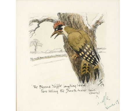 After Charlie Johnson Payne (Snaffles)'The Blessed Yaffle laughing loud Fore-telling the South-West rain (Kingsley)', print w