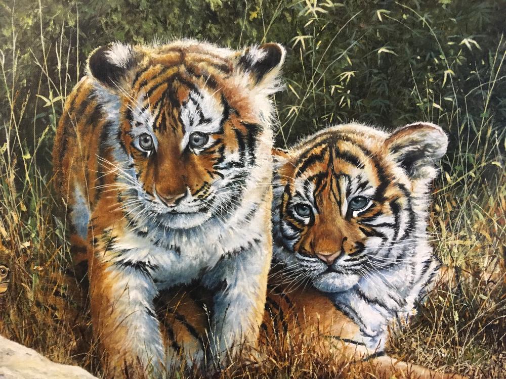 § Steve Burgess (British, b.1960) Tiger cubs with a tortoise in ...